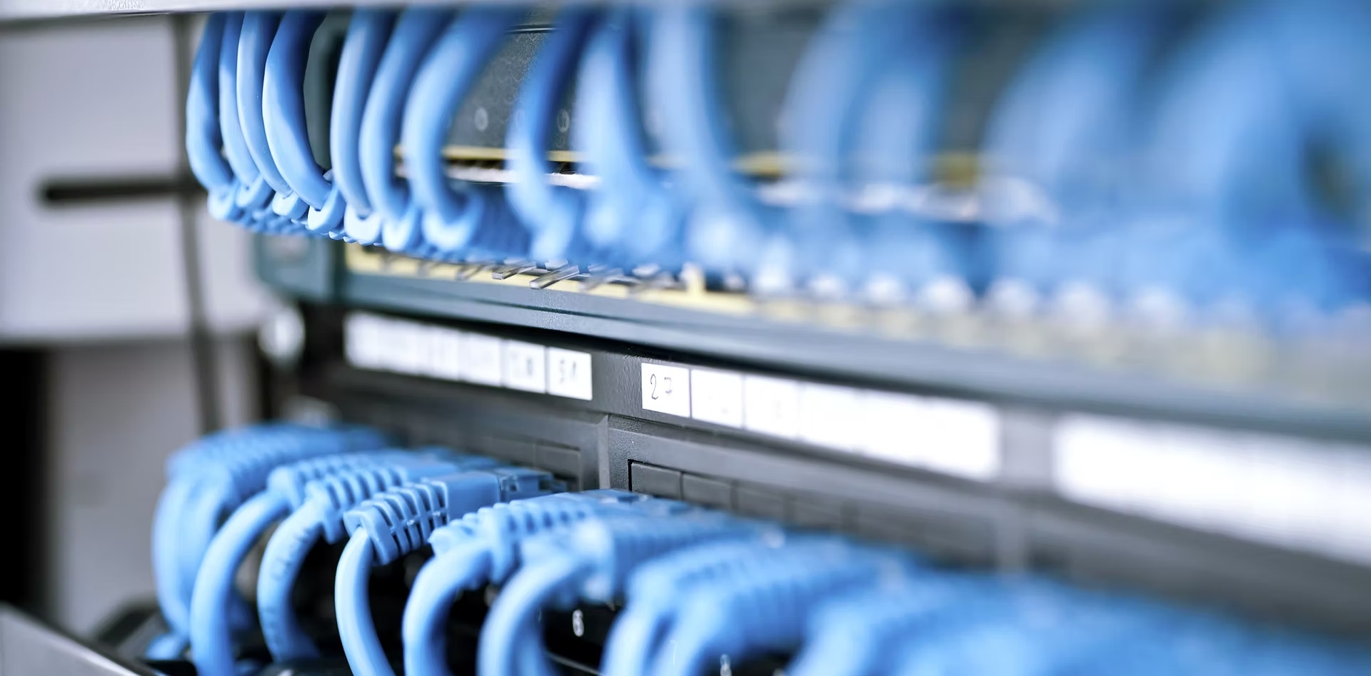 Structured network switch cabling